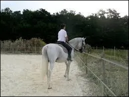 Comment fait-on pour déplacer les hanches de son cheval ?