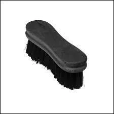 Quelle est cette brosse (outil de pansage) ?