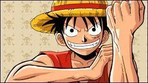 Quelle est la première prime de Luffy ?