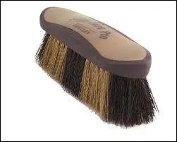 Quel est le nom de cette brosse ?