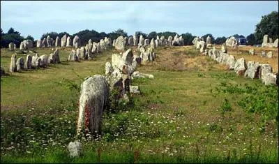 Les alignements de Carnac comptent près de 3 000 menhirs.