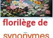 Quiz Florilge de synonymes