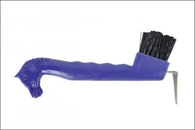 Quelle brosse existe pas ?