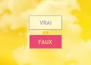 Quiz Vrai ou faux (1)