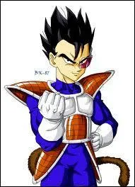 Qui est ce Saiyan ?