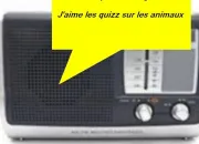 Quiz Qui chante  la radio ?