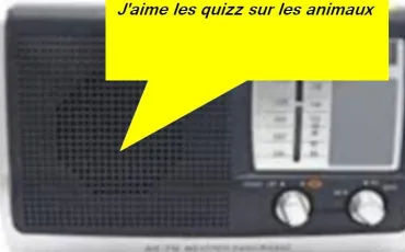 Quiz Chansons