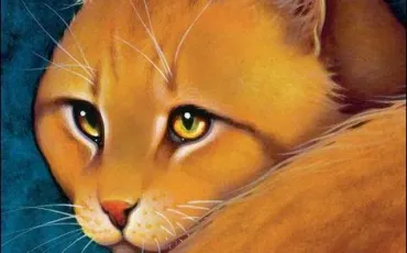 Quiz Erin hunter