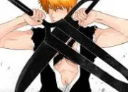 Quiz Bleach, les Shikai dans la SS