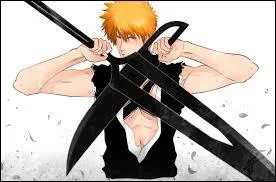 On commence avec le héros Ichigo (normal). Le nom de son shikai est...