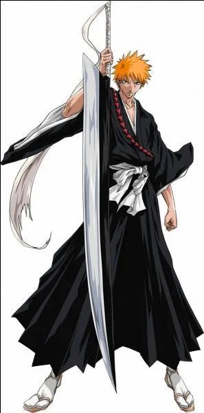 Comment se nomme le zanpakuto d'Ichigo Kurosaki ?