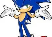 Quiz Quiz Sonic, le hrisson