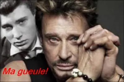 Quelle chanson n'est pas dans le répertoire de Johnny Hallyday ?