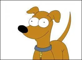 Comment s'appelle le chien des Simpson ?