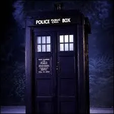 Le Docteur a-t-il vol le Tardis?