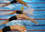 Quiz La natation