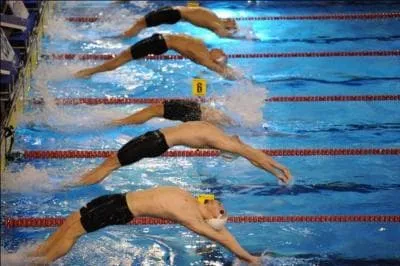 La natation, c'est l'action de :