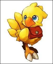 Quelle est la couleur de ce Chocobo ?