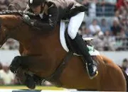 Quiz Equitation