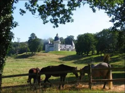 Quel est ce chteau du Loir-et-Cher, situ dans un vallon  l'ore de la fort de Choussy qui reprsente un heureux mariage de styles?