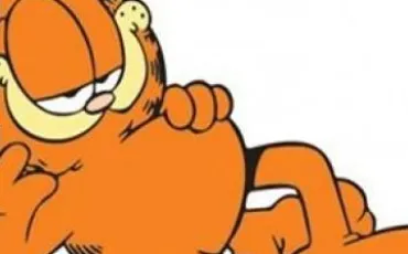 Quiz Garfield