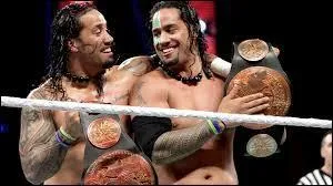 Quels catcheurs font partie du tag team "The Usos" ?