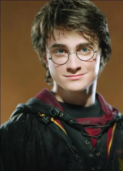 Qui joue Harry Potter ?