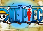 Quiz One Piece (Les drapeaux pirates)