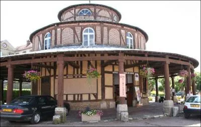 Quel est ce bourg pittoresque de département de l'Aube où vous verrez une halle circulaire à pans de bois ainsi que la belle porte médiévale Saint-Nicolas ?