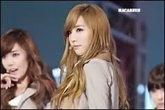 Qui est le petit ami de Taeyeon ? (2014)