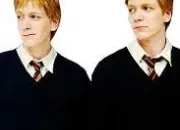 Quiz Fred et George Weasley