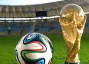 Quiz Coupe du monde 2014