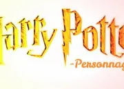 Quiz Personnages Harry Potter (facile)