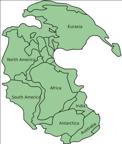 Comment appelle-t-on l'unique continent qui devait se trouver sur Terre au début de sa formation ?