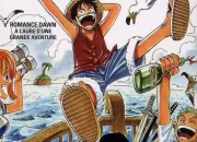 Quiz One piece > Tome 1 (nouvelle dition)