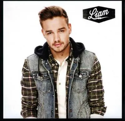 Quel était le numéro de candidat de Liam Payne à "X Factor" ?