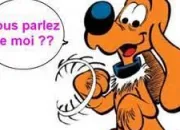 Quiz Les chiens et chats clbres