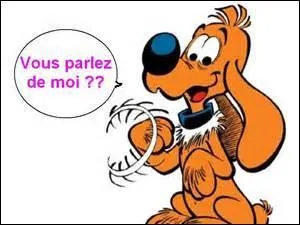 Quel est le nom de ce chien ?