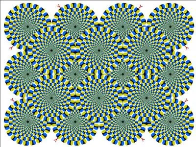 Sur cette illusion, on voit des serpents :