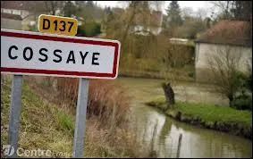 Cette nouvelle promenade nous emmène à Cossaye, village bourguignon situé dans le département ...