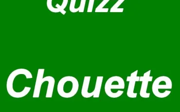 Quiz Oiseaux