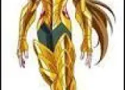 Quiz Gold Saints de Saint Seiya Omega