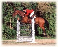 Quiz Equitation