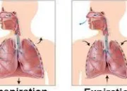 Quiz Cardiologie et soins infirmiers