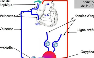 Quiz Medecine