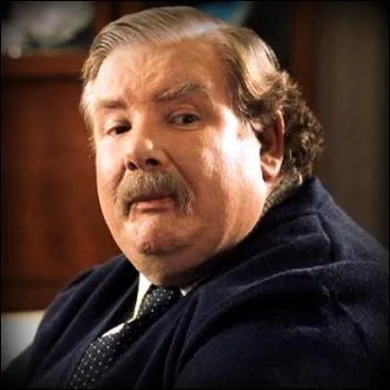 Que fabrique l'entreprise de Mr Dursley ?