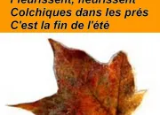 Quiz L'automne