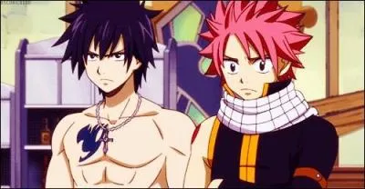 Natsu et Grey sont ...