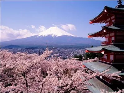 Nous sommes au coeur d'une pub française, censée se passer au Japon. Alléchée par les friandises de son chef, une employée attend son départ pour lui en subtiliser, pour ça , elle doit grimper sur la photocopieuse, qui n'attendait que ça pour lui photocopier un endroit habituellement dissimulé !