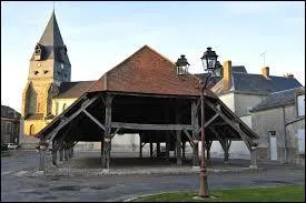 Je vous emmène à la découverte de la commune Loirétaine d'Aschères-le-Marché, où nous verrons notamment les halles du XVIIIè siècle. Nous devons nous rendre en région ...